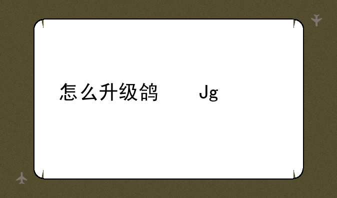 怎么升级鸿蒙系统
