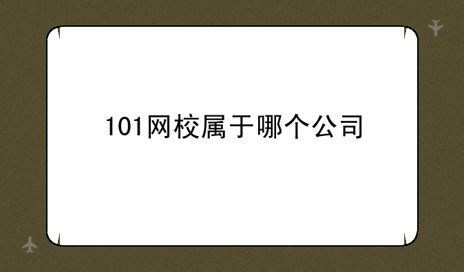 101网校属于哪个公司
