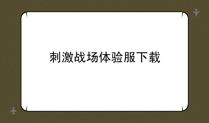 刺激战场体验服下载