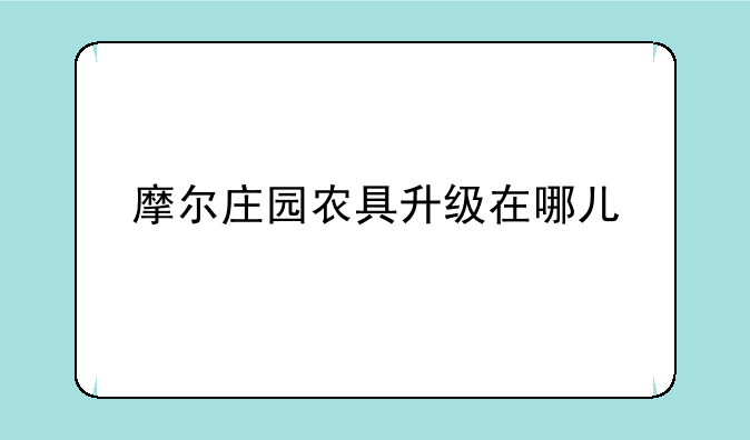 摩尔庄园农具升级在哪儿
