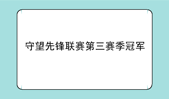 守望先锋联赛第三赛季冠军