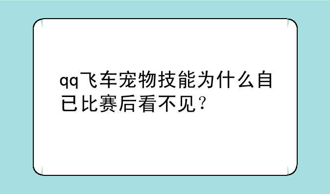 qq飞车宠物技能为什么自已比赛后看不见？