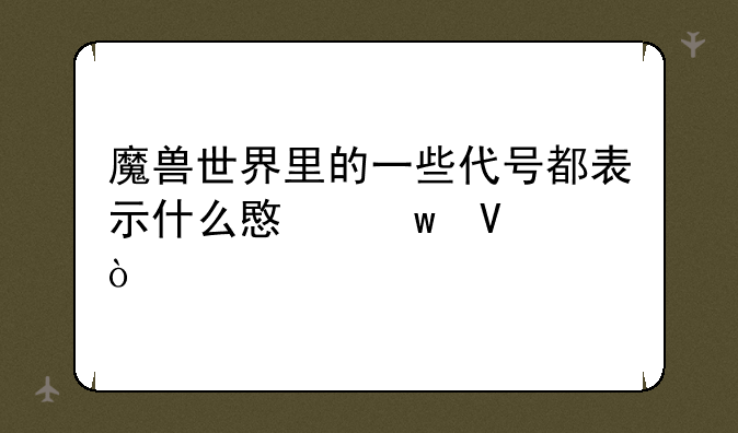 魔兽世界里的一些代号都表示什么意思啊，
