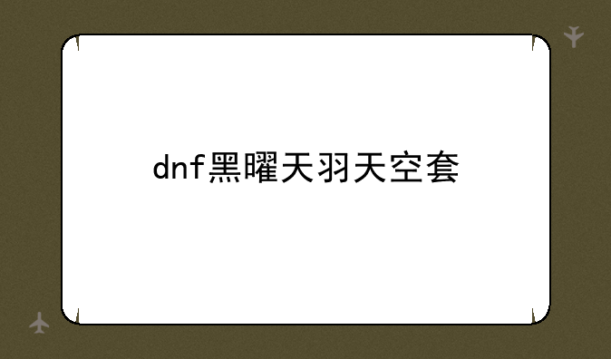 dnf黑曜天羽天空套