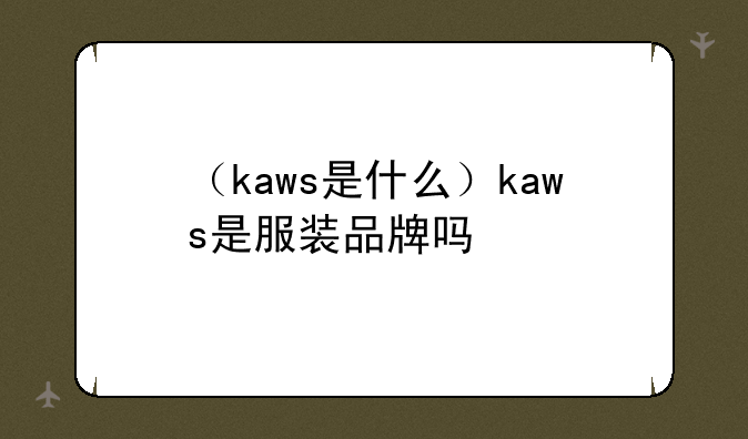 （kaws是什么）kaws是服装品牌吗